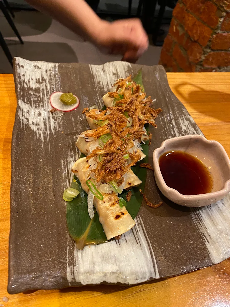 Dumpling, Ha-Lu Japanese Tapas Restaurant