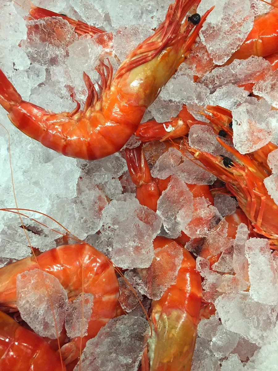 Highlights, Noah's Ark Fish Bar & Eatery