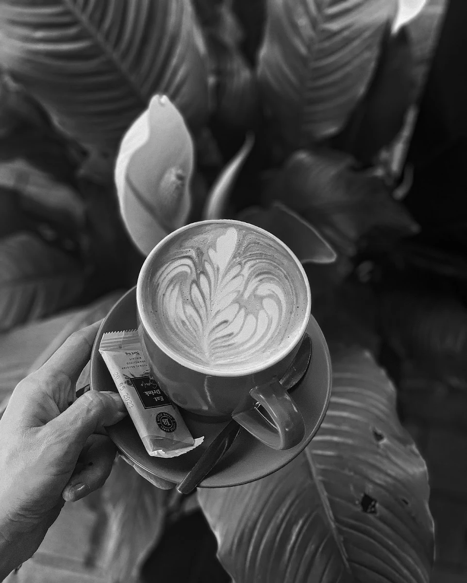 Highlights, Paper Moon Coffee House and Functions