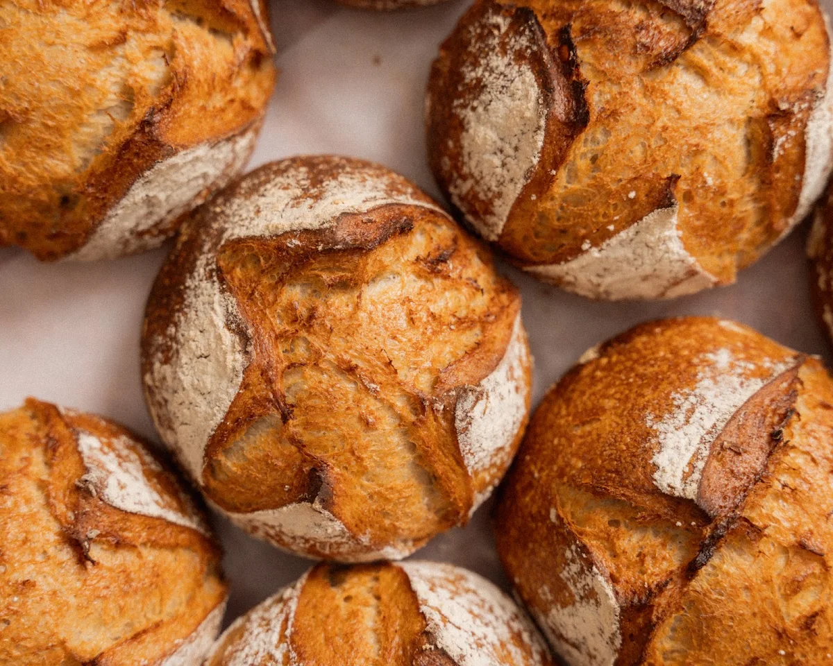 Small Sourdough, Clara Cakes