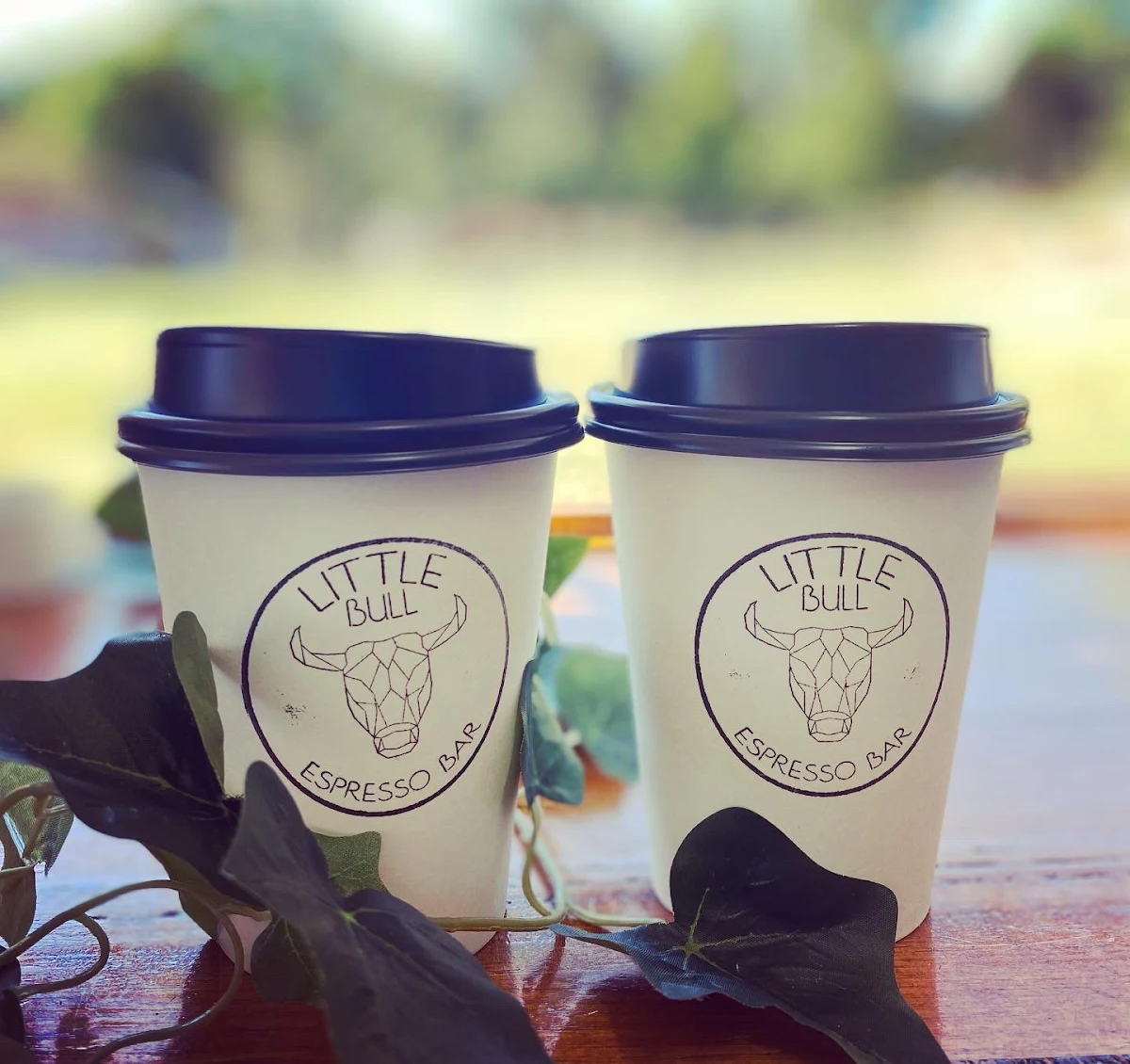 Highlights, Little Bull Espresso Bar