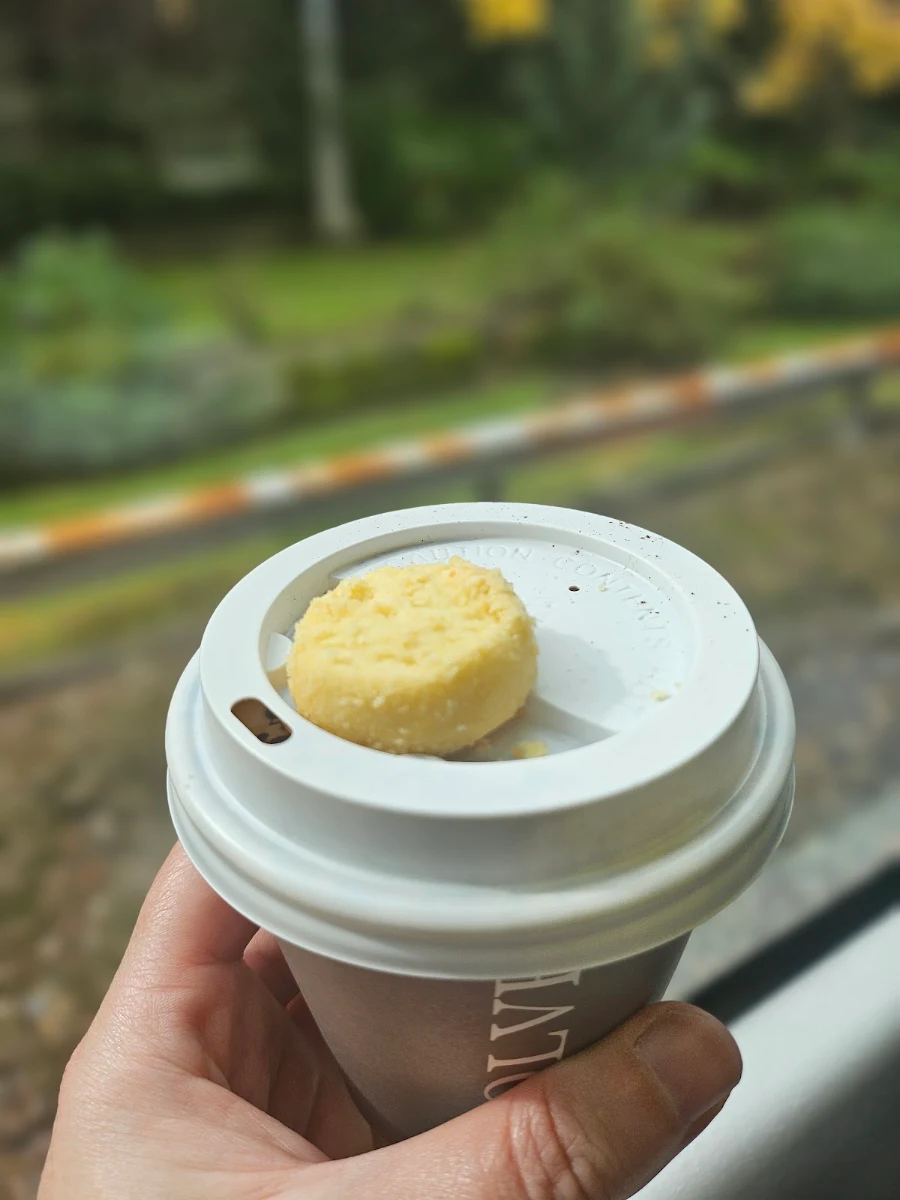 Mocha, Evolve Wahroonga