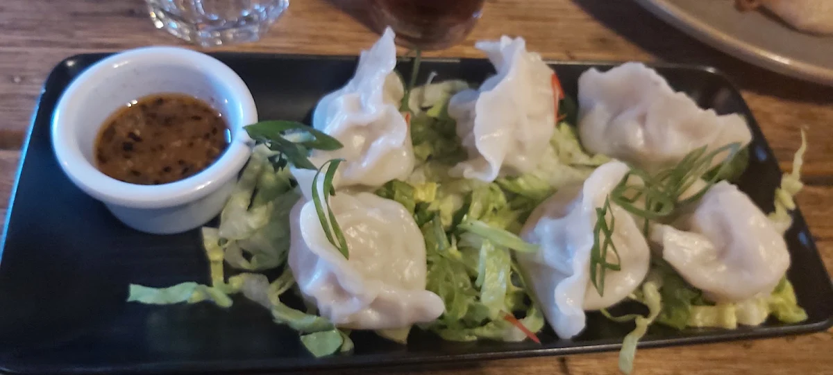 Pork Dumplings