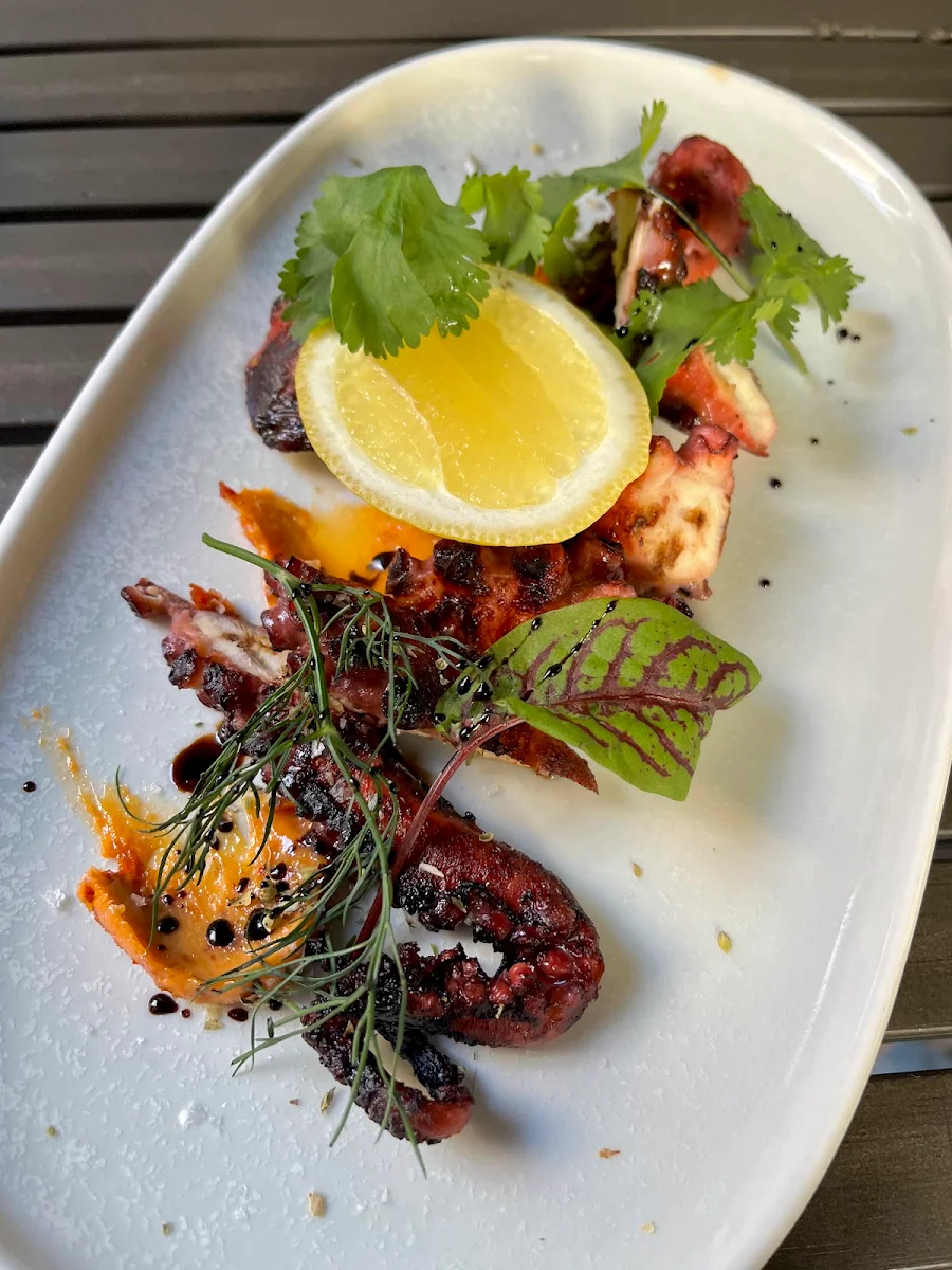 Octopus, Janus Bar