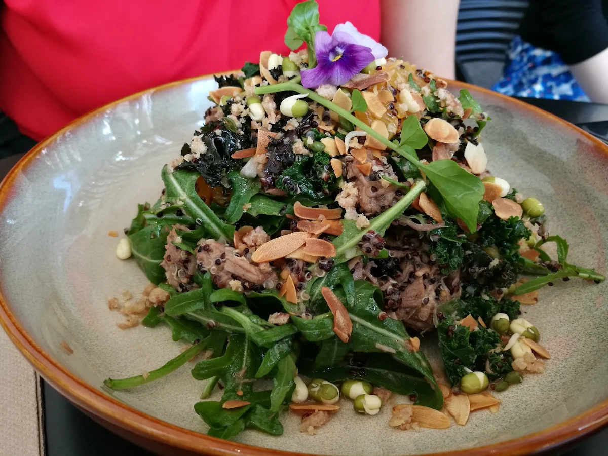Salmon Salad, Janus Bar