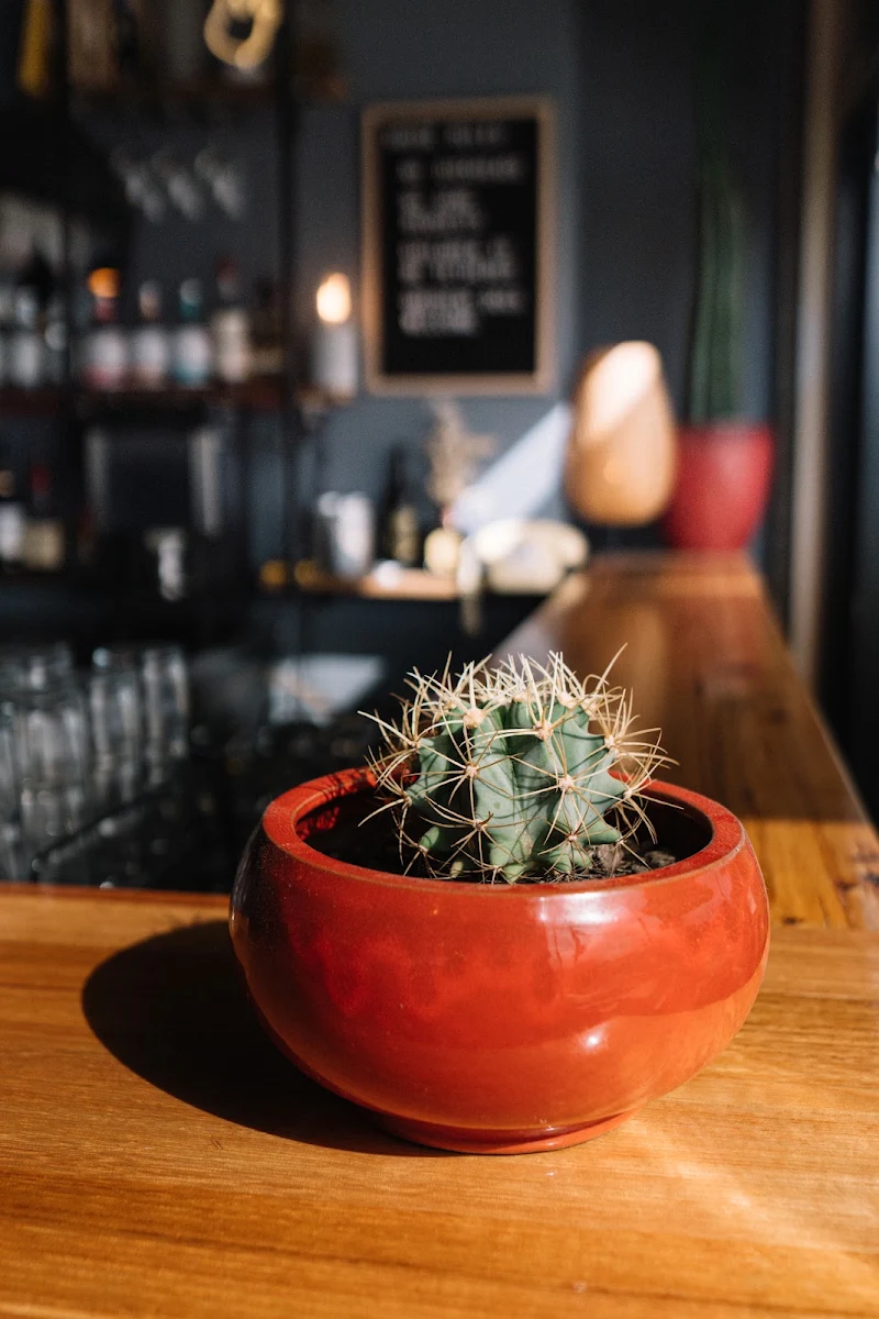 Highlights, Bandolier Brewing