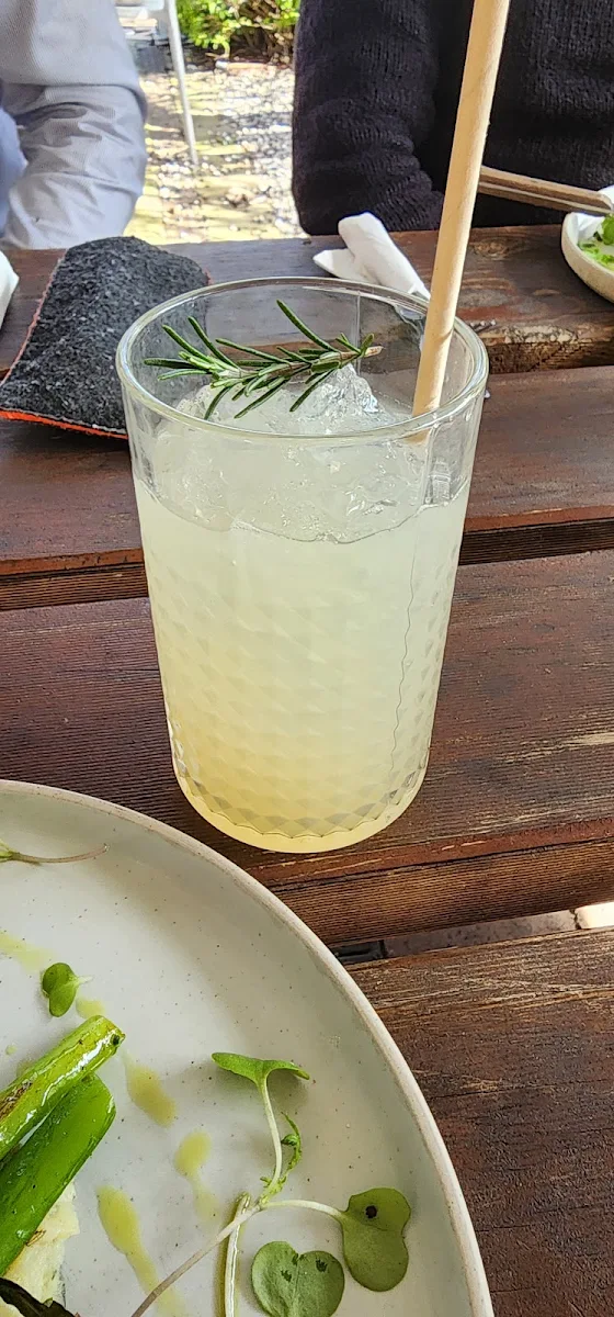 Lemonade, Abattoir Blues