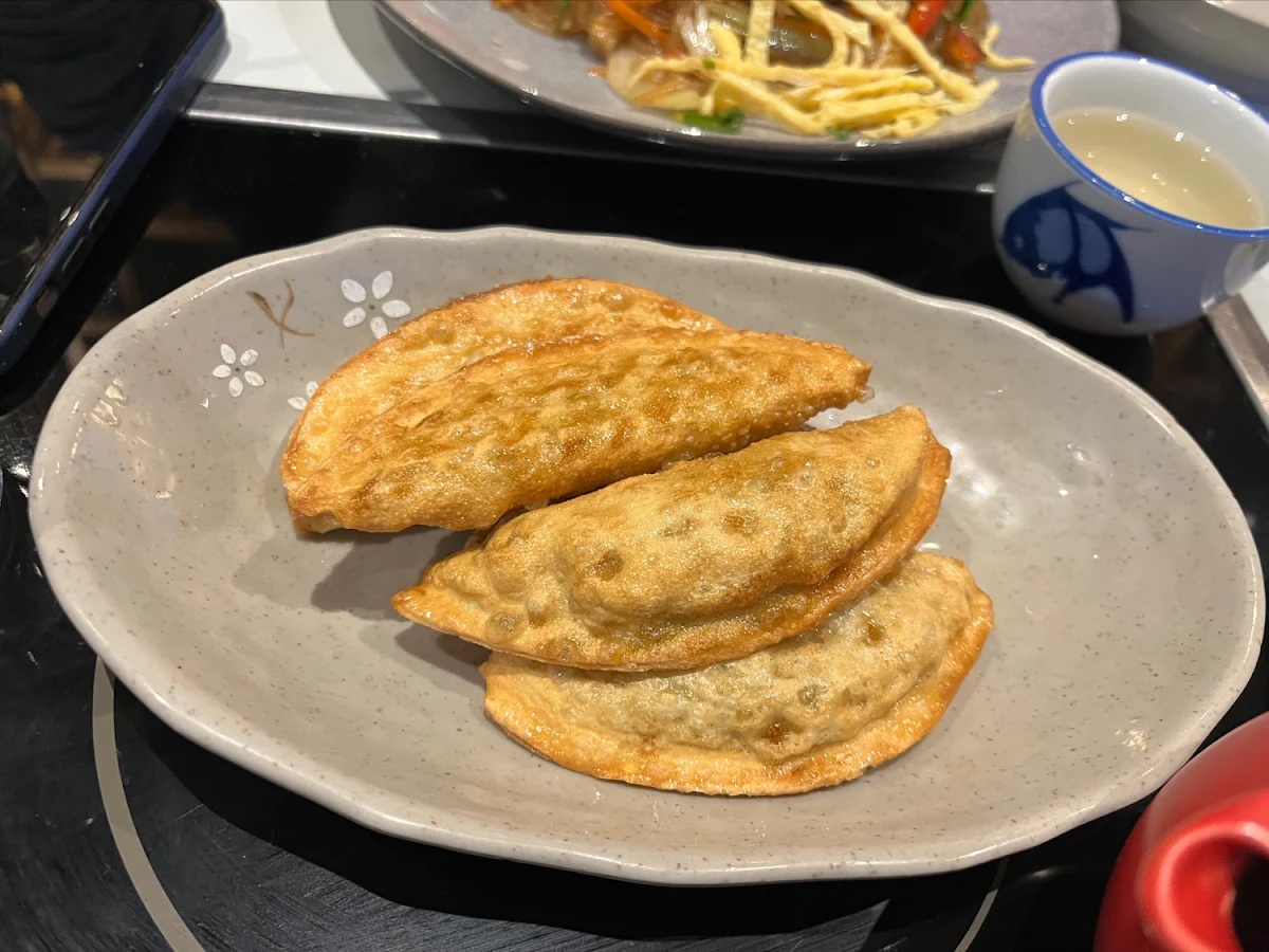 Vegetarian Fried Dumplings
