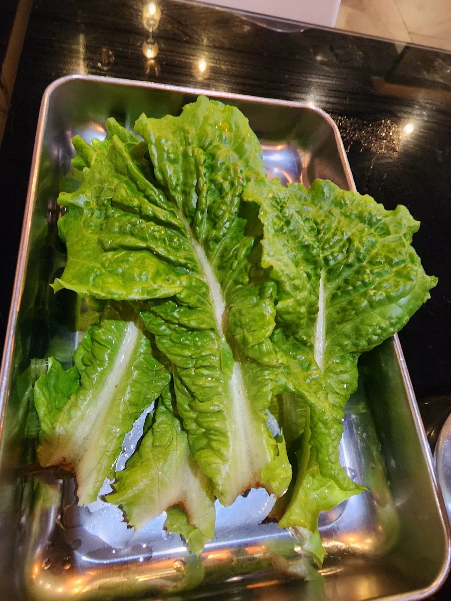 Extra Lettuce, NANGAM