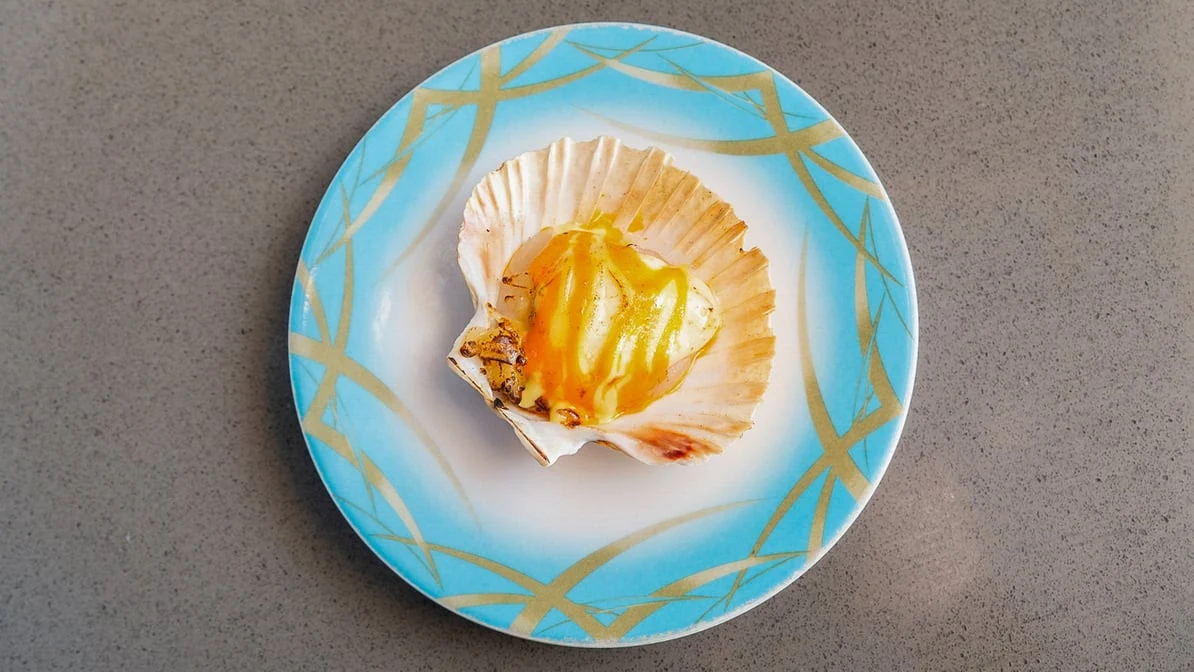Highlights, Sushi Culture