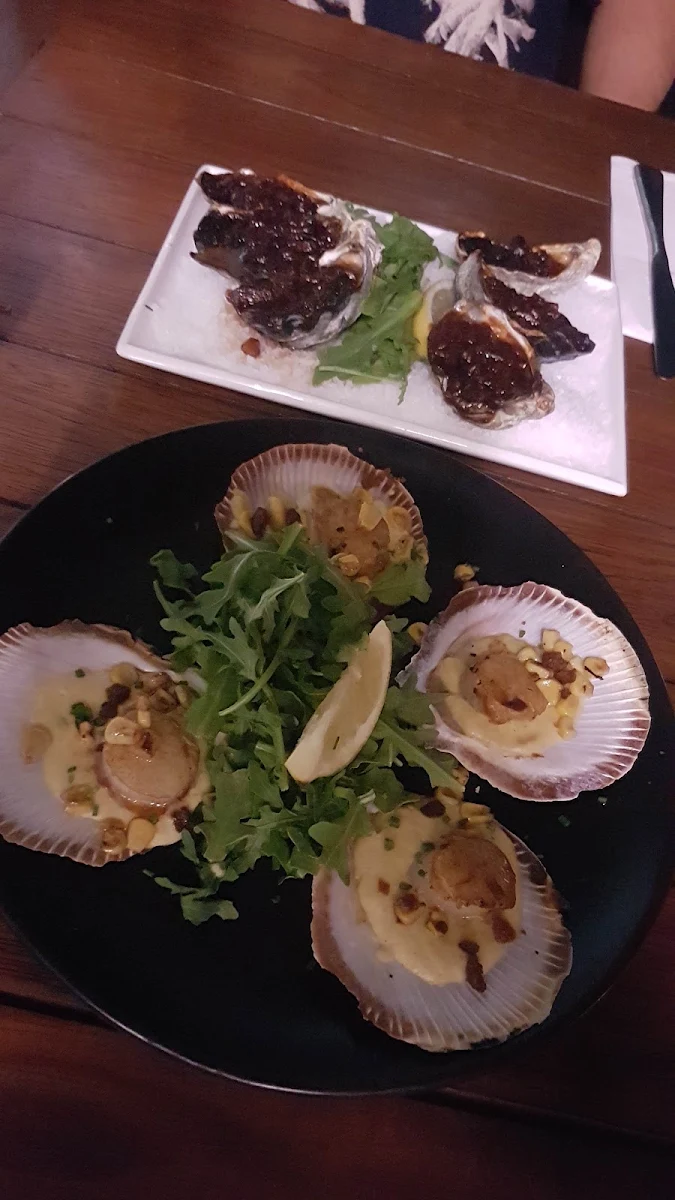Scallops, C Bar