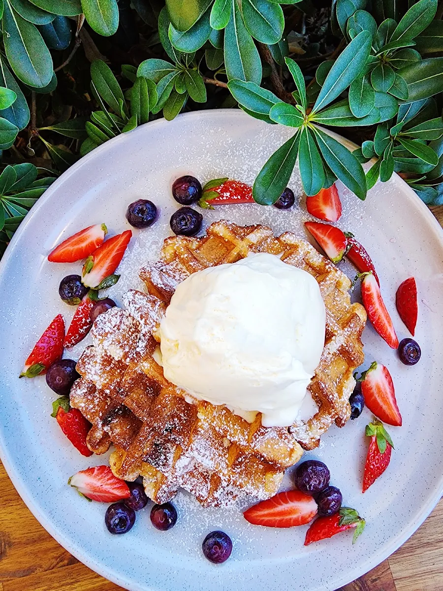 Highlights, Toucan Coffee Upper Coomera
