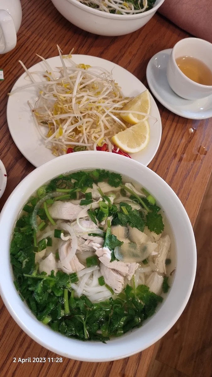 Generous Herbs and Sprouts with Pho