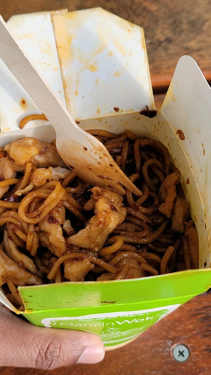 Chicken Noodles
