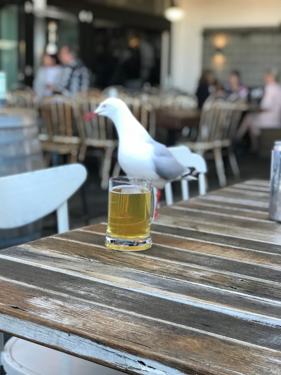 Highlights, King Tide Brewing