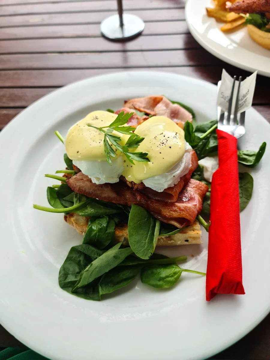 Eggs Benedict, The Mountain Brew Coffee