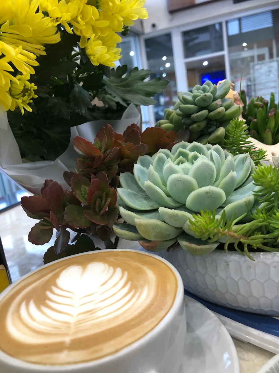 Highlights, Angry Beans Cafe