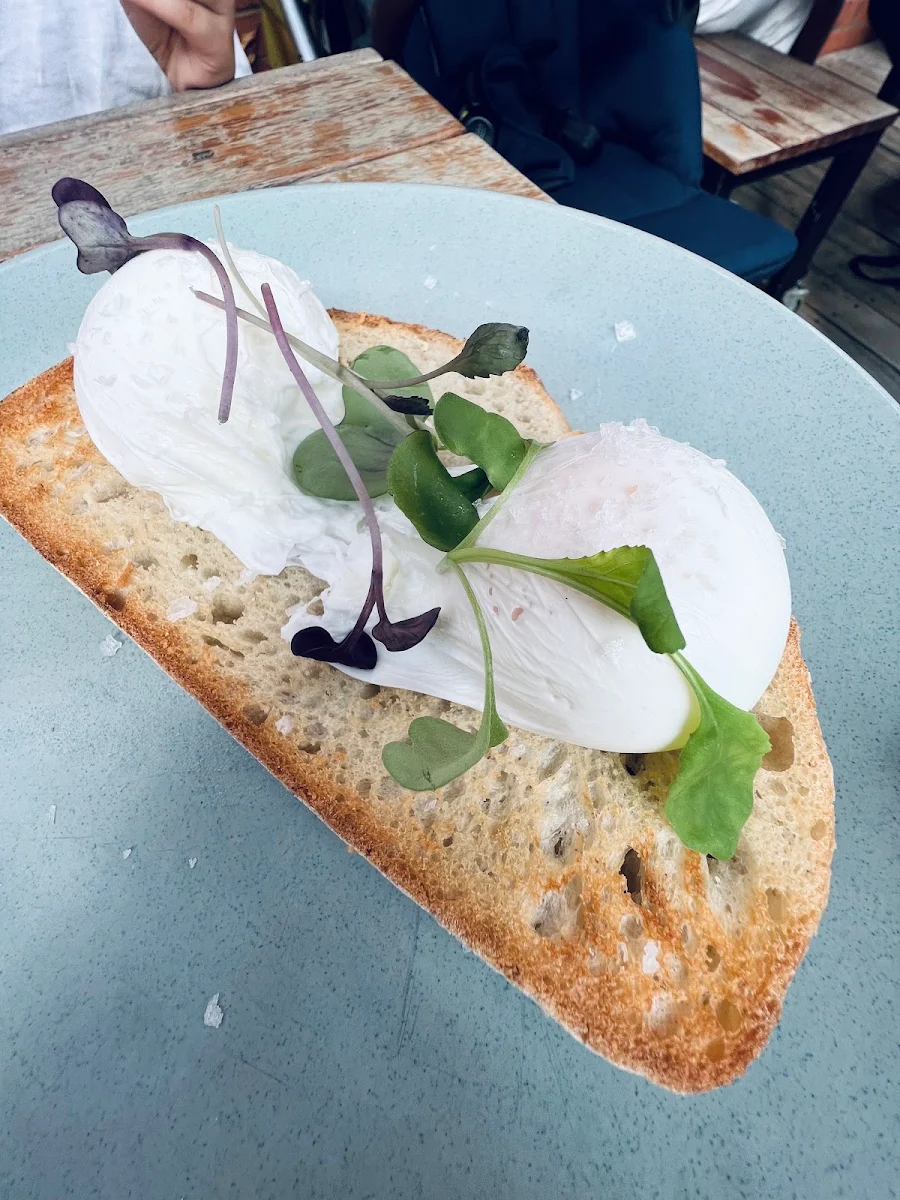 Poached Eggs on Sourdough Bread