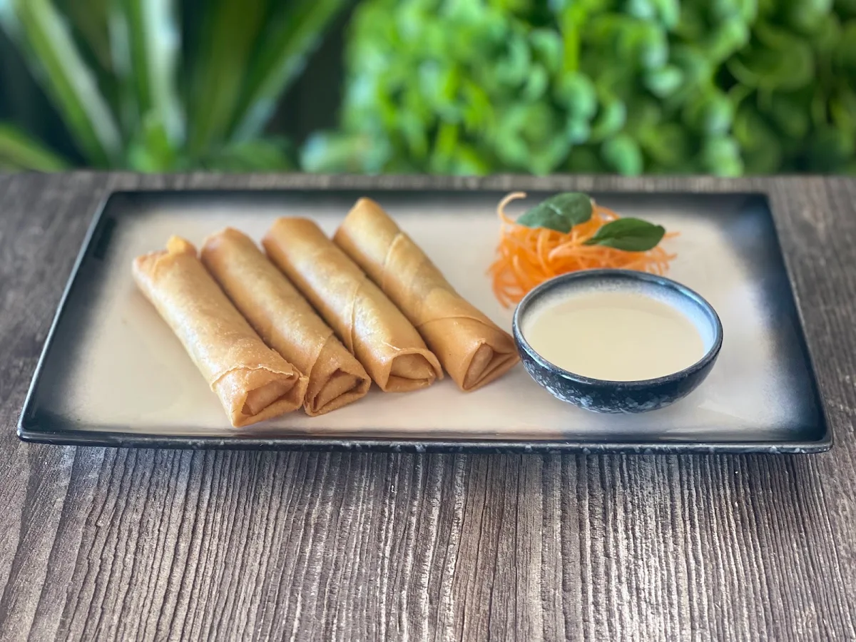 Spring Rolls, Sanook Thai Cuisine