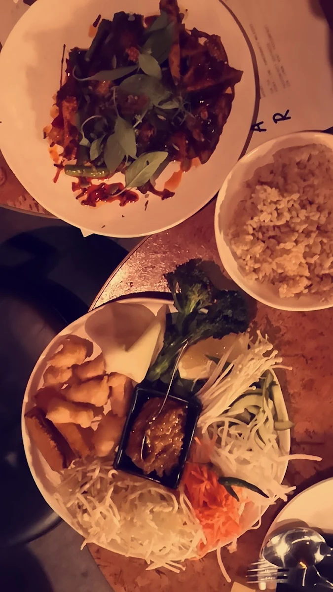 DIY Spring Rolls, GoGo Bar