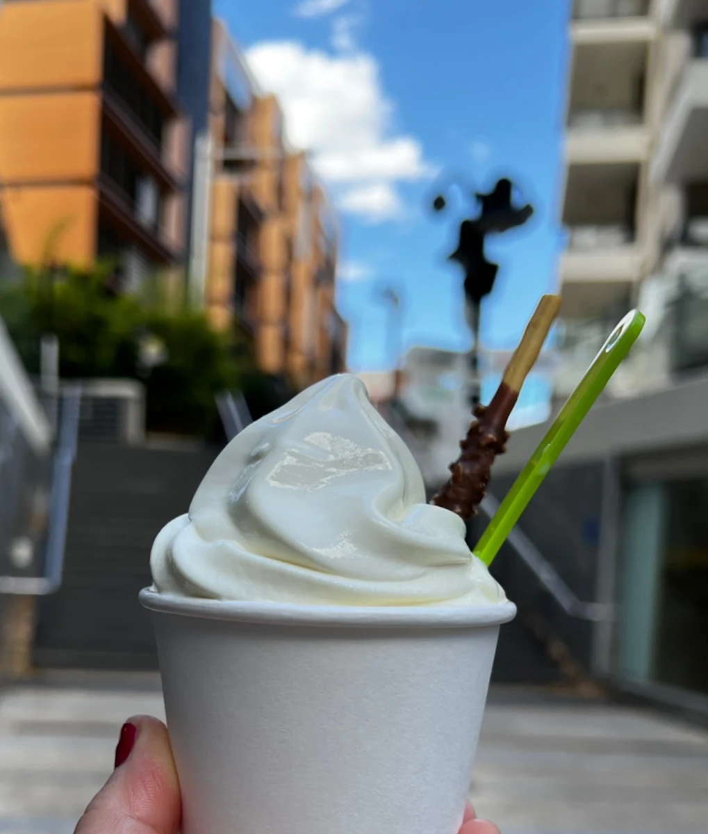 Highlights, Midori Sushi and Rolls Meadowbank