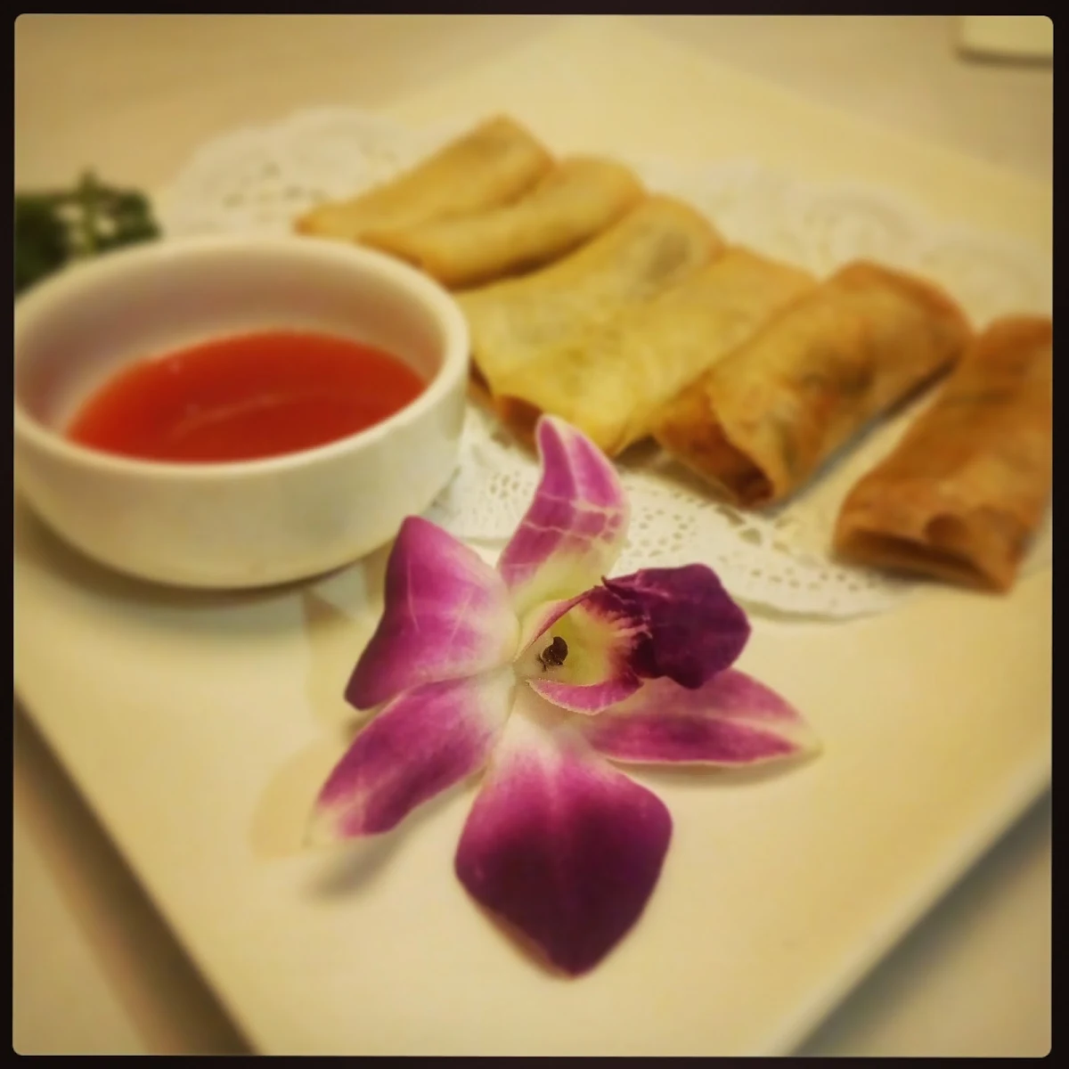 sn03 Vegetarian Spring Roll