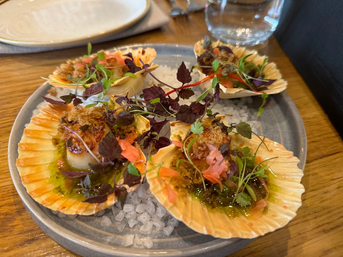 Half Shell Scallop