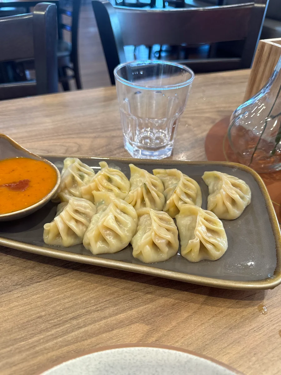 Chicken Dumplings
