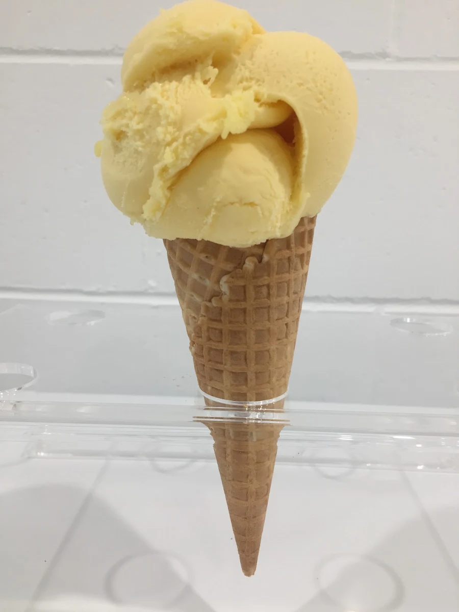 Highlights, Bella Balena Gelateria