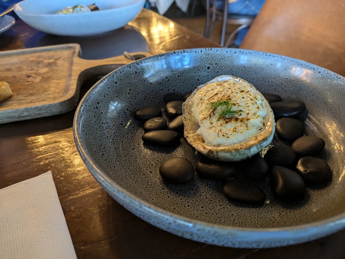 Abalone