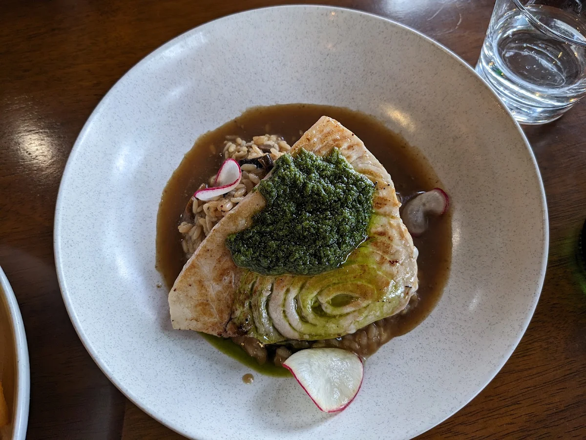 Swordfish