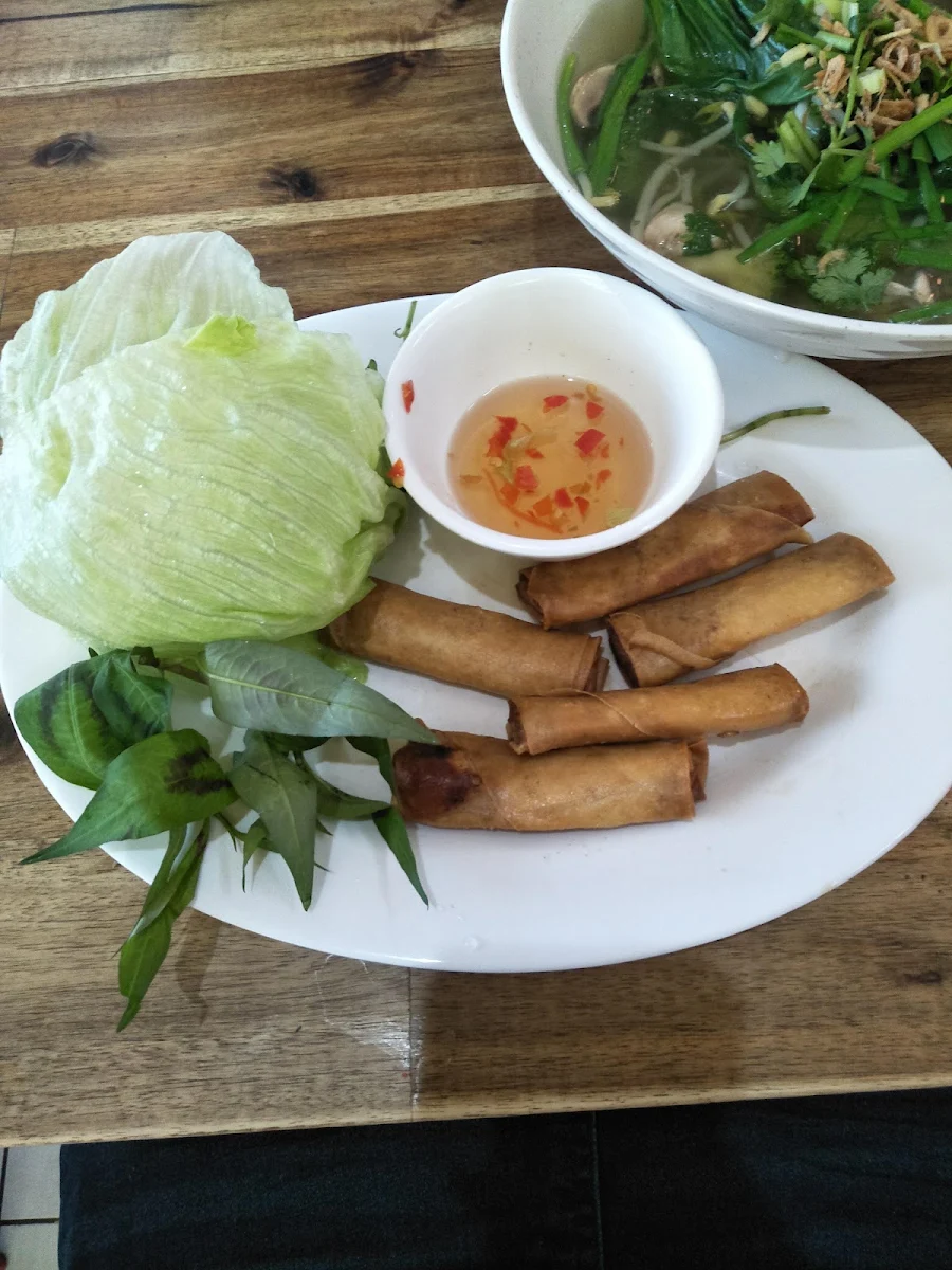 Chicken Spring Roll