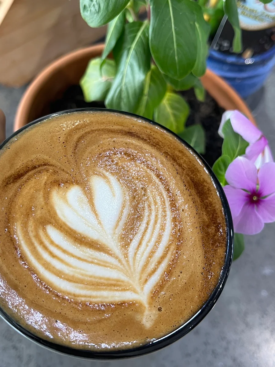 Highlights, Balaboosta cafe