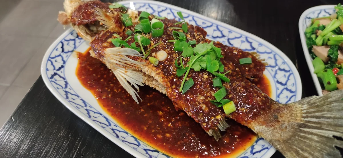 Steam Fish, Salween Thai Restaurant