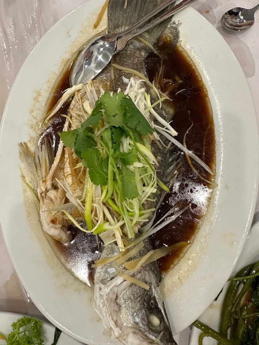 Steamed Fish, Ling Nan Chinese Restaurant