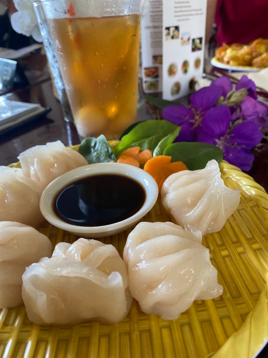 Steamed Dimsim, Maleny Palace Cafe