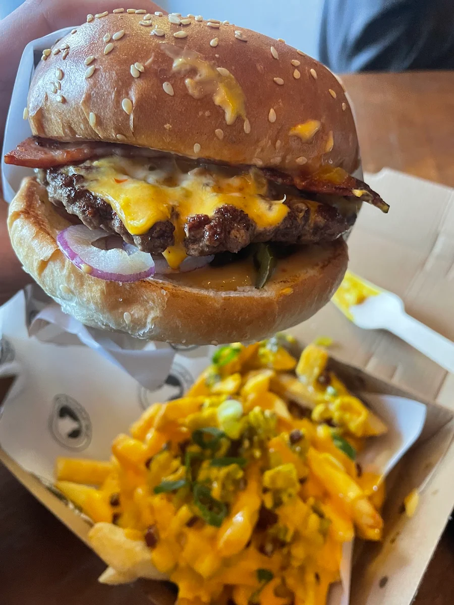 Highlights, The Famished Wolf Kensington