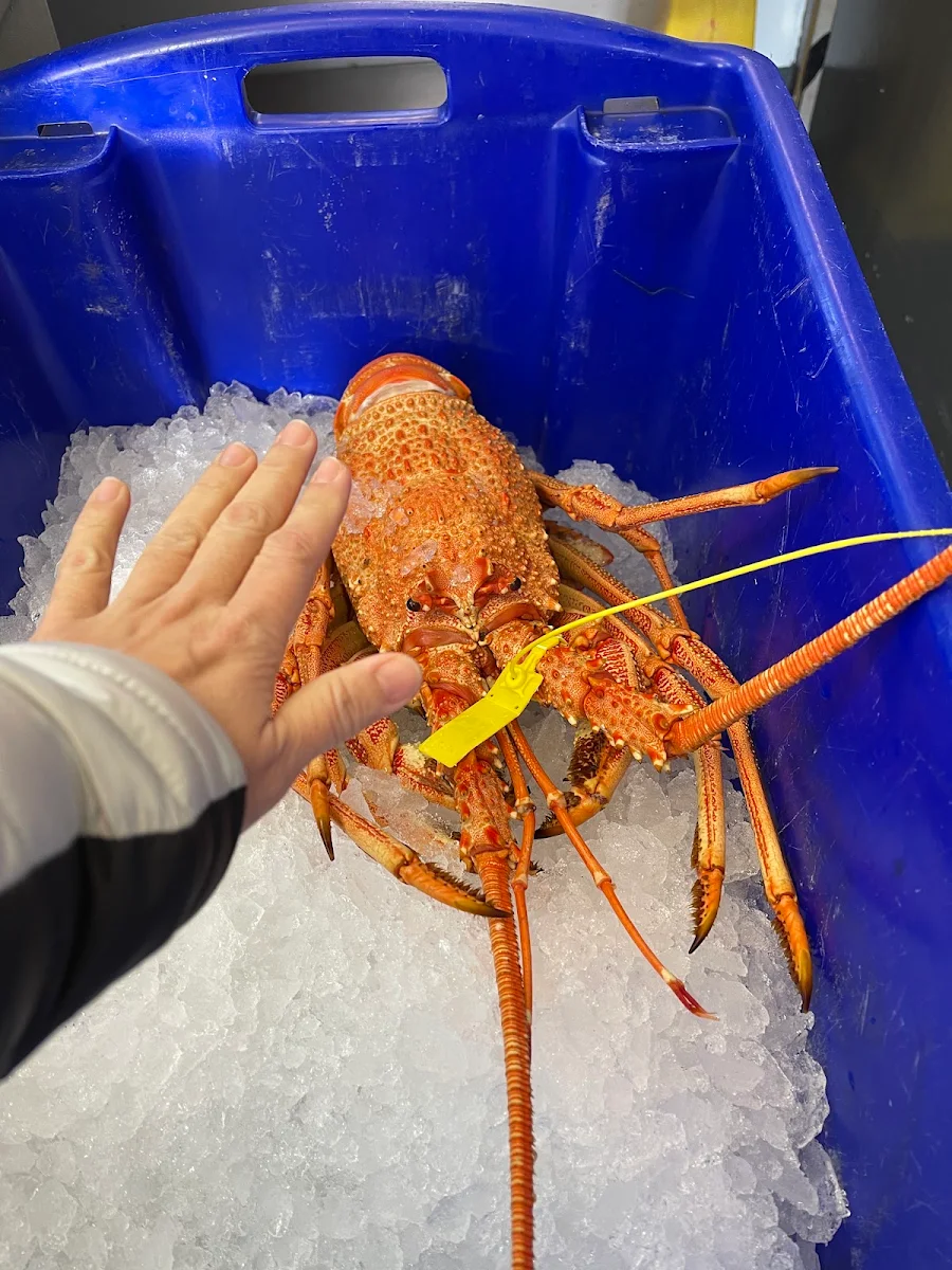 Cooked Boiled Lobster, Mako Seafood