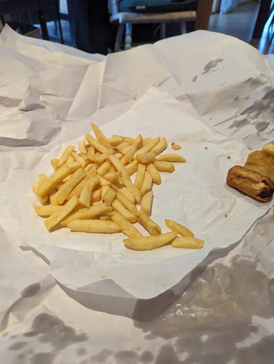 Large Chips