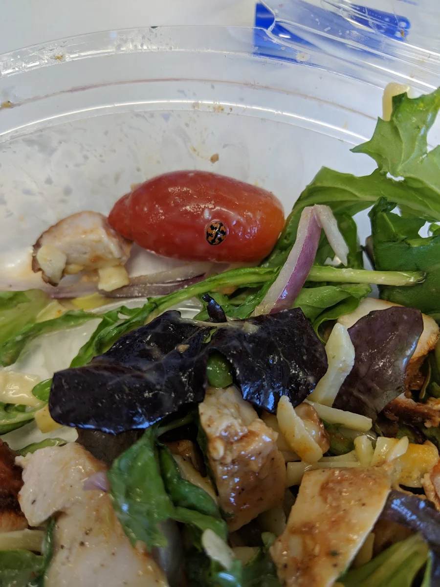 Highlights, Radium Lunch Bar