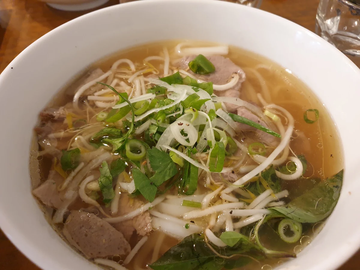 Pho Bo and Spring Rolls