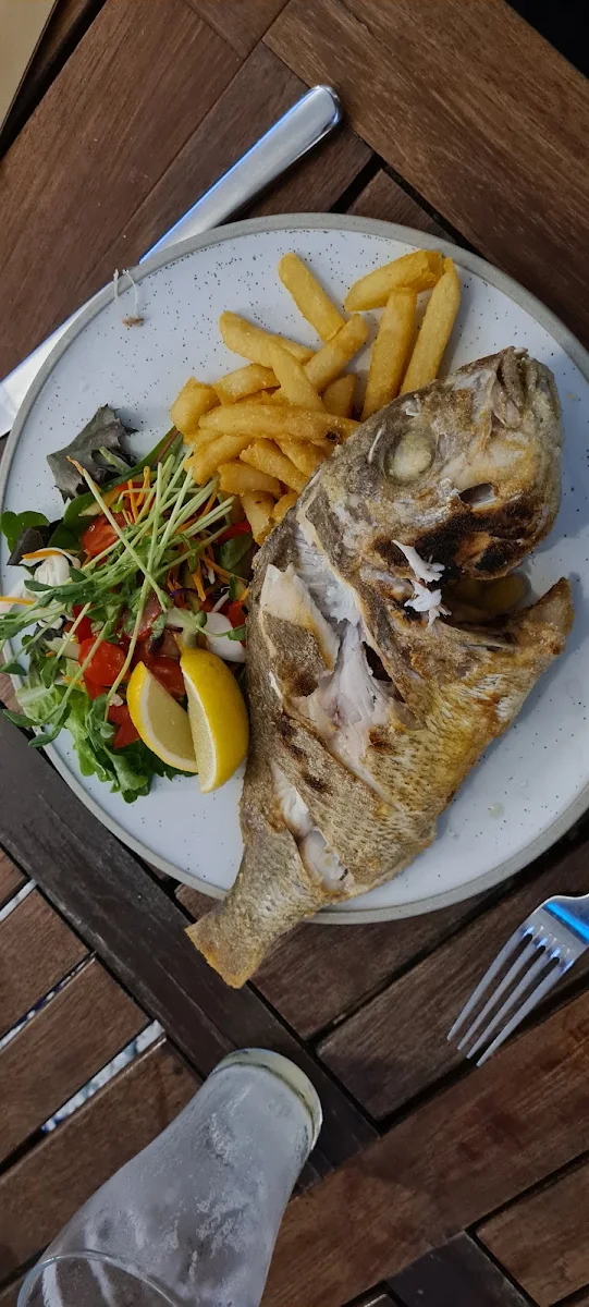 Large Snapper, Sawtell Hotel