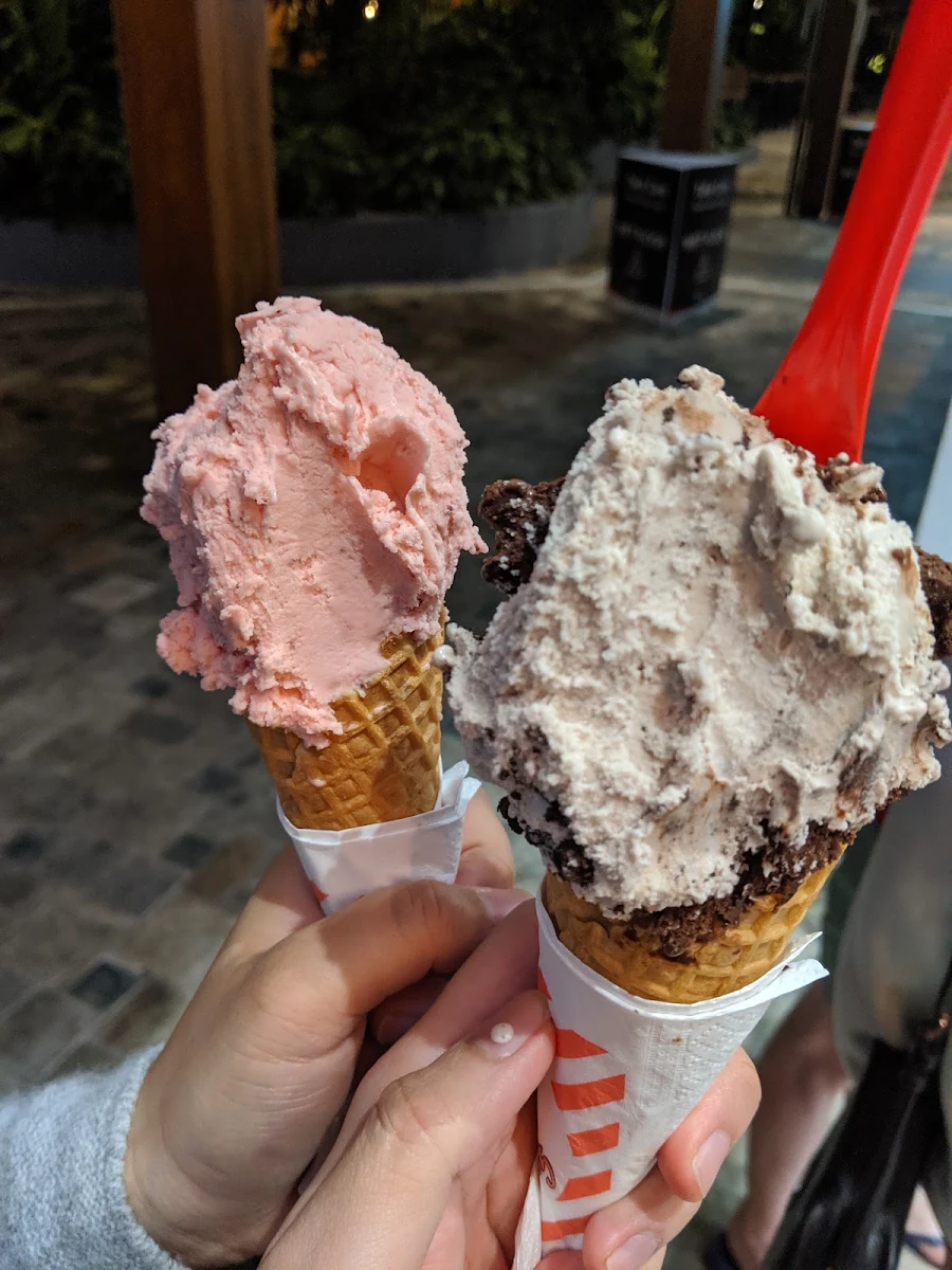 Highlights, Gelatissimo Coomera