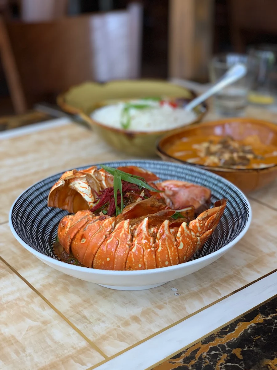 The Urban Agari Lobster