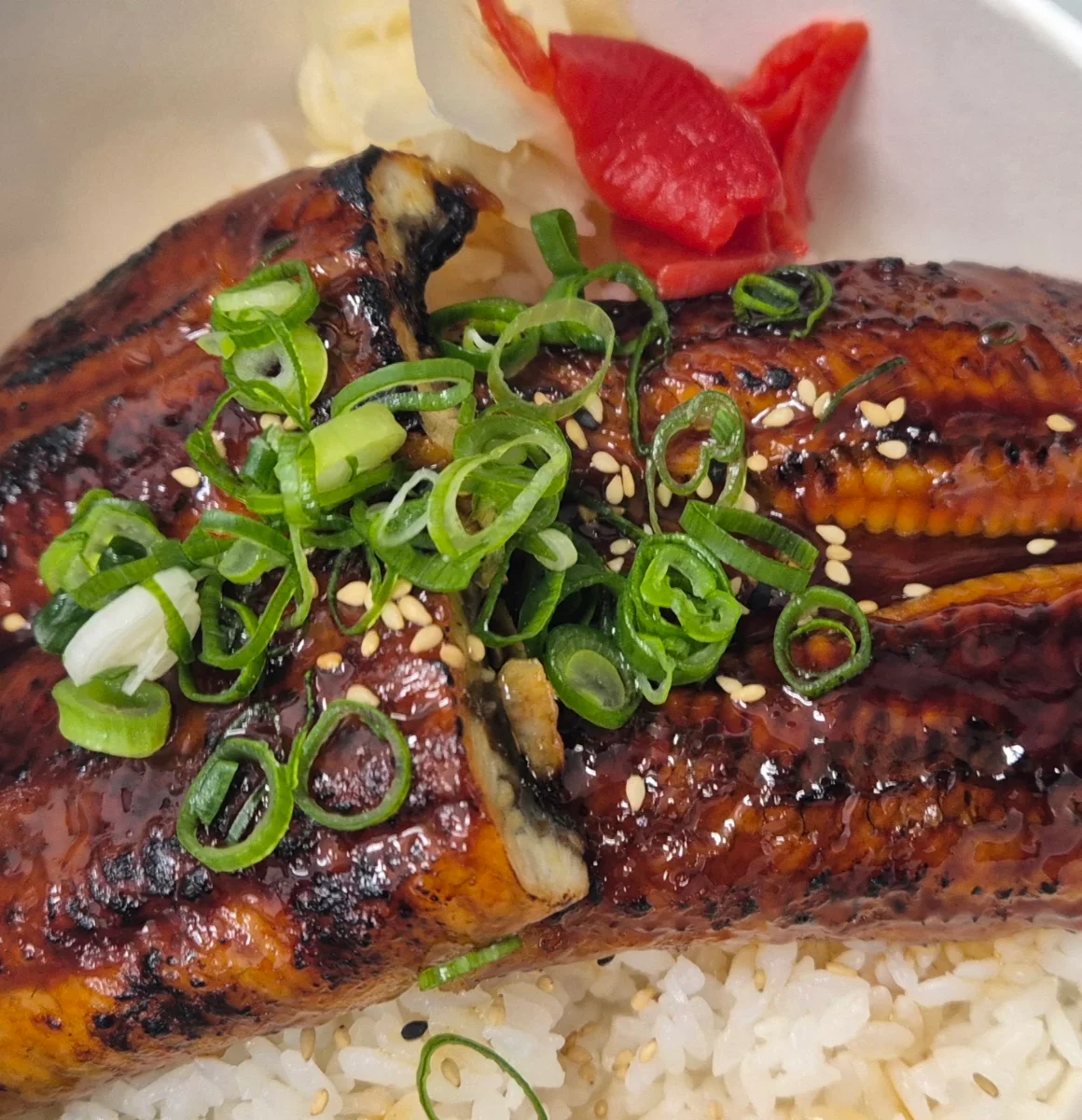Unagidon Eel, KINOKI Japanese Restaurant