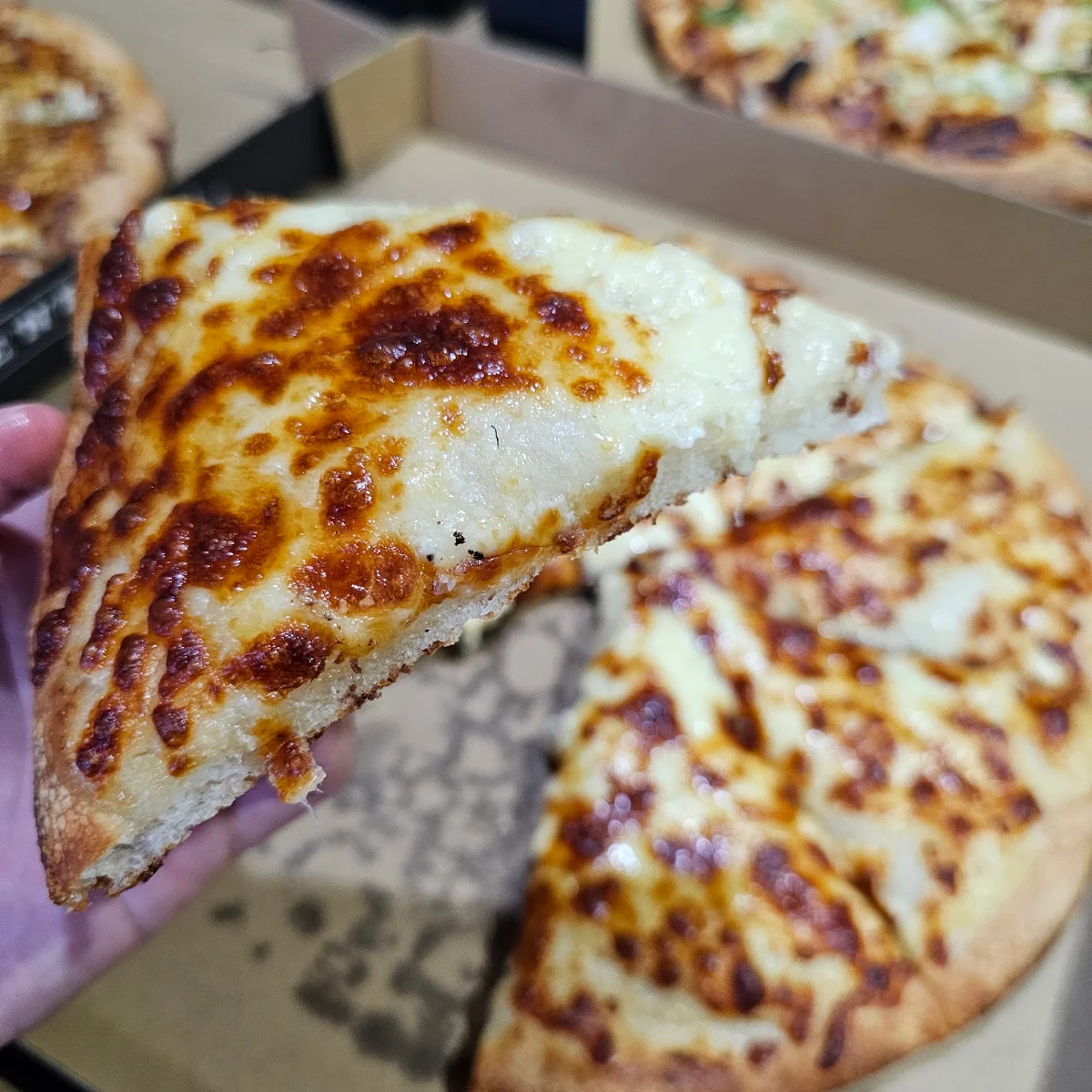 Highlights, PizzaBakers Plumpton