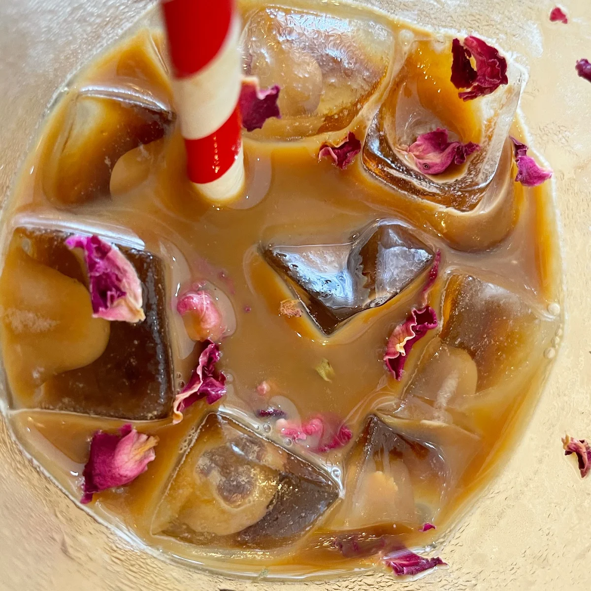 Iced Coffee, True Brew Cafe 灶咖
