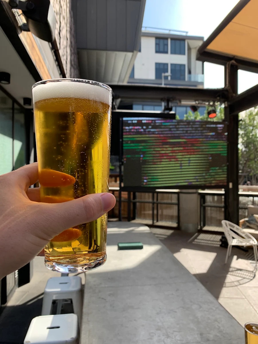 Beer, Melbourne Public