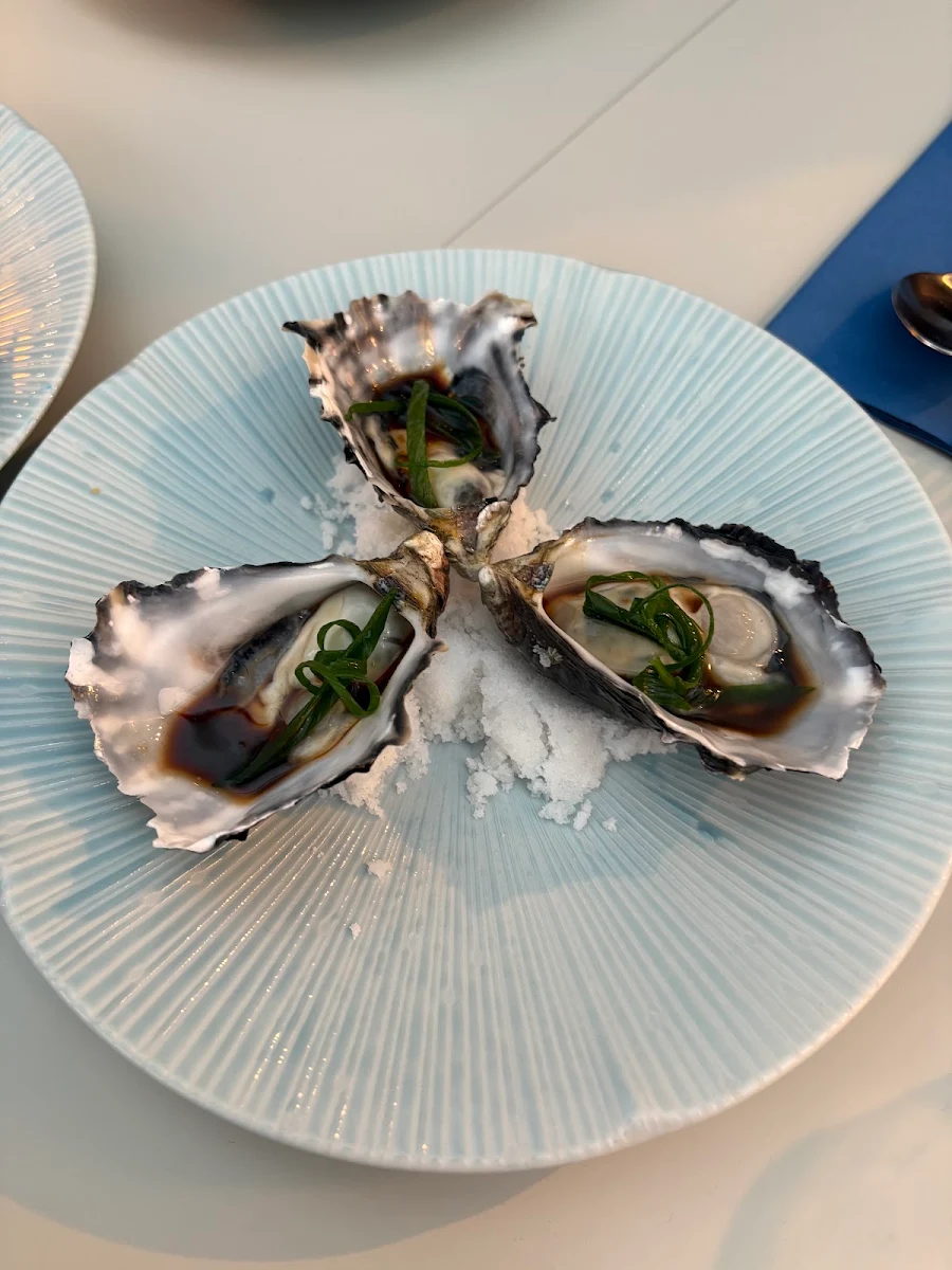 Oysters