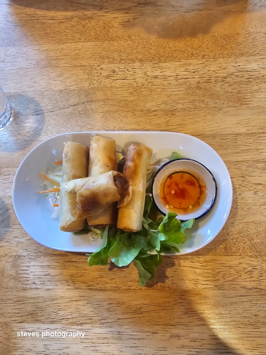 Duck Spring Rolls